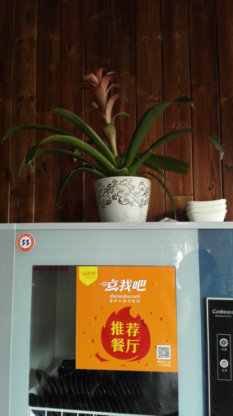 过桥米线加盟哪个好