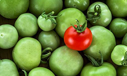 加盟投资创业项目什么好?